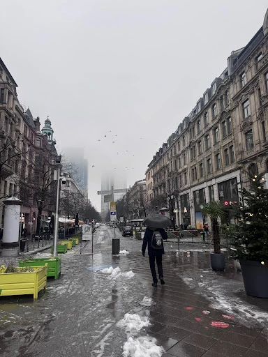 Der Fette Bulle photo 5